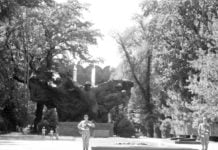 Der Smaragd von Almaty