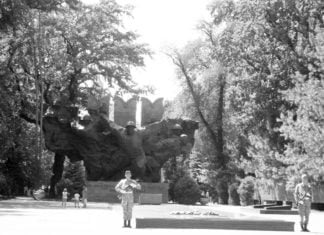 Der Smaragd von Almaty