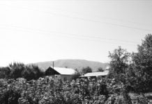 Was ist besser – die Datscha oder der Schrebergarten?