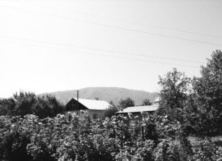 Was ist besser – die Datscha oder der Schrebergarten?