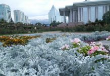 Kleine Oase in der großen Stadt Kleine Oase in der großen Stadt