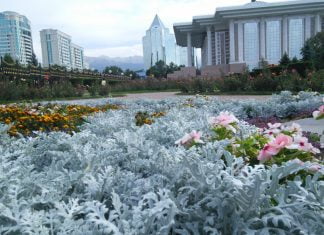 Kleine Oase in der großen Stadt Kleine Oase in der großen Stadt