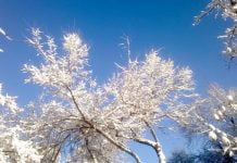 Winterliches Gedicht Winterliches Gedicht