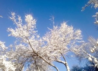 Winterliches Gedicht Winterliches Gedicht