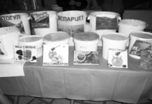 Das essbare Gold Kirgisistans