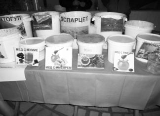 Das essbare Gold Kirgisistans