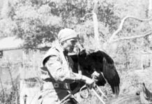 Lauter Geflügelte und neue Worte