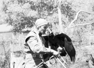 Lauter Geflügelte und neue Worte