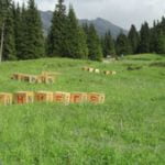 Die Kunst des Achten Flusses