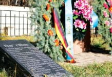 Wer Gewalt ausübt oder ihr ausgesetzt ist, wandelt sich