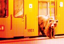 66. Berlinale: Ein Schauplatz für Glückssuchende