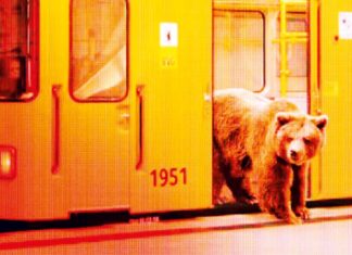 66. Berlinale: Ein Schauplatz für Glückssuchende