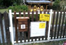 Vertrauen ist besser