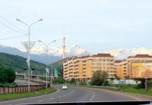 Von rosa Bergen und Zebrastreifen