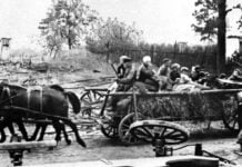 Meine Geschichte: Bewaffnete Partisanen