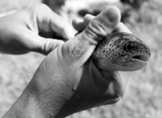 Erste Forellenfarm des unabhängigen Kirgisistans