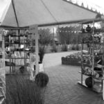 &bdquo;Astana Food Festival&ldquo; | Bild: Autorin