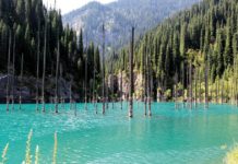 Auf Tour durch Kasachstan