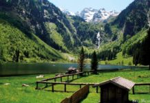 Von Monstern und Jungwein