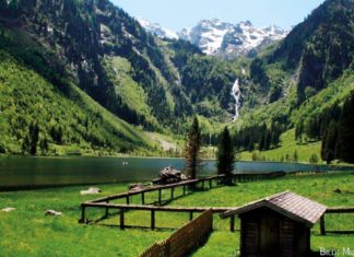 Von Monstern und Jungwein