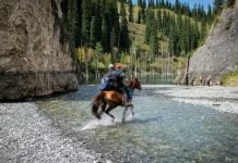 Per Taxi nach Kaindy – Türkises Wasser und Schaschlikfreuden