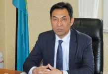 Partner für Frieden und Stabilität