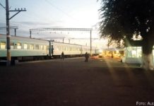 „Meine Eltern hielten mich für verrückt“