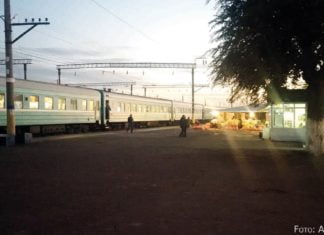 „Meine Eltern hielten mich für verrückt“