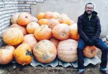 Ein Refugium zwischen Stall und Gipfeln