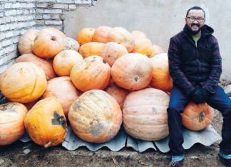 Ein Refugium zwischen Stall und Gipfeln