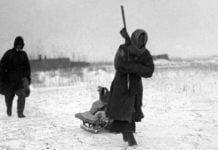 Leben und Sterben in Batbakkarinsk