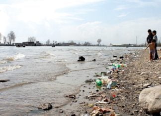 Umweltschutz ist Ehrensache