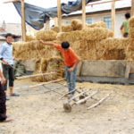 Umweltschutz ist Ehrensache