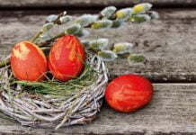 Gefeiert und reglementiert