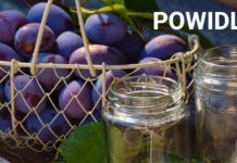 Österreichische Wörter mit Migrationshintergrund