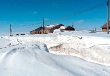 Die Energiewende: ein Luxusproblem?