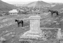 Kriegsgefangene in Turkestan: Gespräch mit dem Historiker Peter Felch – Teil 1