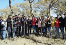 Schüler erhalten vom Aussterben bedrohte Turanga-Pappel