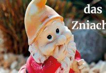 Österreichisch für Anfänger | Zniachtl