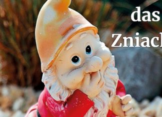 Österreichisch für Anfänger | Zniachtl