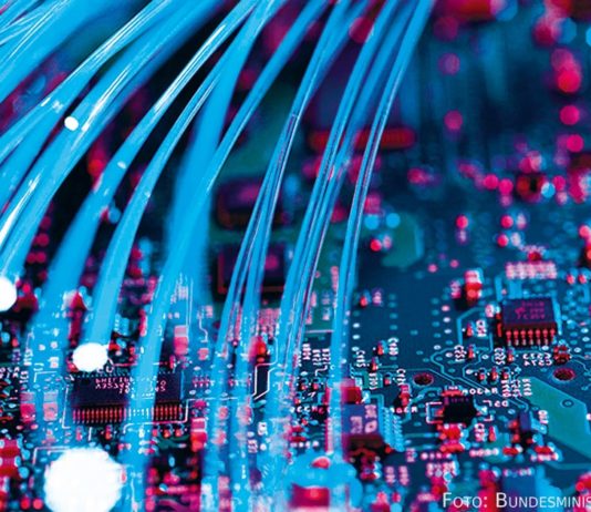 Von Straßenmauern ins Netz: Wie verlagert sich Protestkunst in den digitalen Raum?