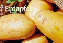 Österreichisch für Anfänger | Erdapfel