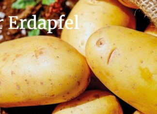 Österreichisch für Anfänger | Erdapfel