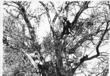 Die Uhlfeldkolonie – Eine österreichische Kommune in Kasachstan (1/2)