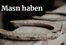 Österreichisch für Anfänger | Masn