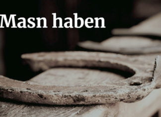 Österreichisch für Anfänger | Masn