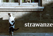 Österreichisch für Anfänger | strawanzen strawanzen