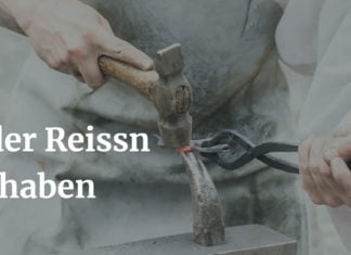 Deutsche Wörter aus Österreich | in der Reissn haben in der Reissn haben