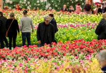 Kasachische Delegation nimmt an „Grüner Woche“ teil