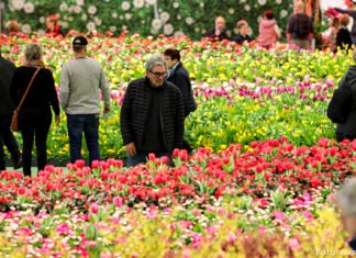 Kasachische Delegation nimmt an „Grüner Woche“ teil